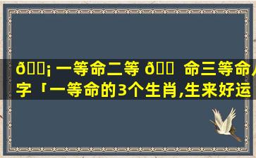 🐡 一等命二等 🐠 命三等命八字「一等命的3个生肖,生来好运,一生顺利」